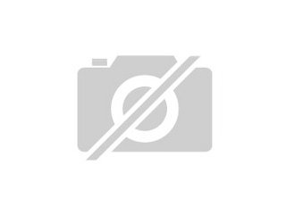 Gitarrenlehrer gesucht